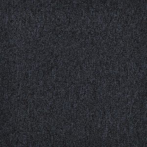 First Forward 4553