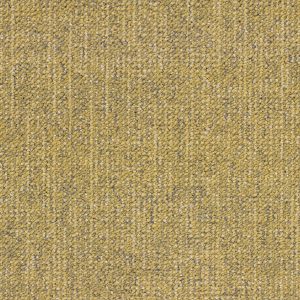 Canvas 4230