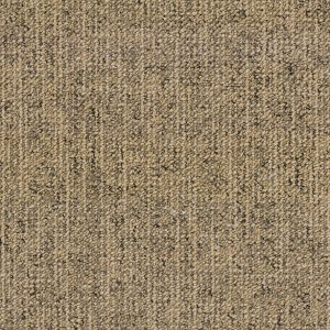 Canvas 4815