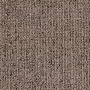 Canvas 4820